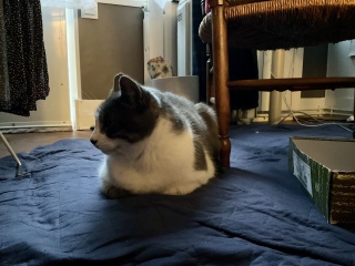 ���������Ă�����