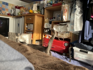 9��30��(��) ���C�ɏo�΂��肪�Ƃ�