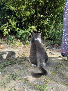 �����ɂ��o��