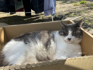 ���X�Ƃ����났