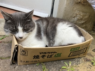 �Ă��Ή��吷��