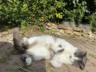 ���󕨂�����ɓ������Ƃ�����