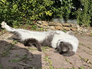 �������������������