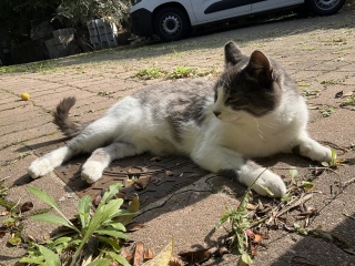 �܂��ۂ��ۂ�������