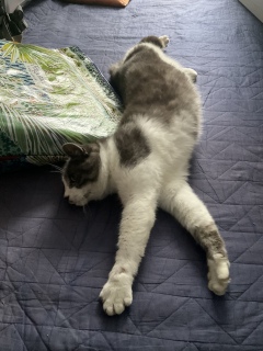 �L�тĒ܂��o�������