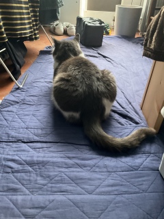 ���K����������