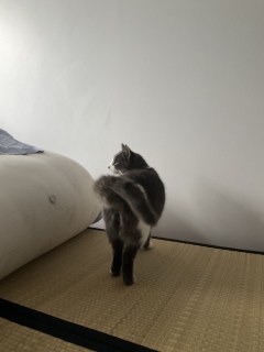 ��x�b�h�ɓo��