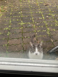 10��1��(�y) ������9����̑����o��