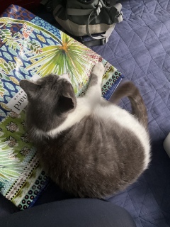 �������ꂽ�܂�