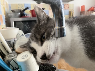 ������������