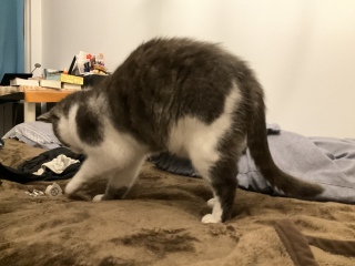 �O����ɂ��݂���