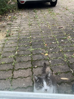 10��3��(��) �ߌ���L���