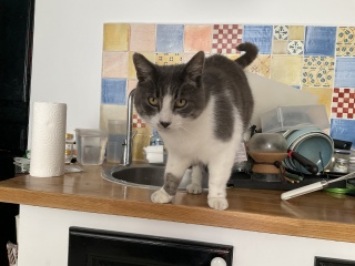 10��4��(��) ���ۂ̐�����