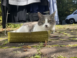 �͂ݏo�����j