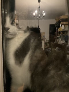 ��9������