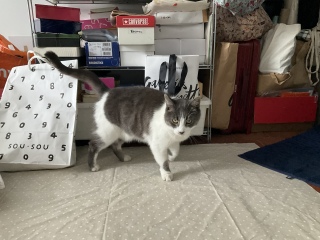 10��5��(��) �����������肷��