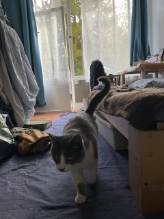 �����ۂ҂�҂��