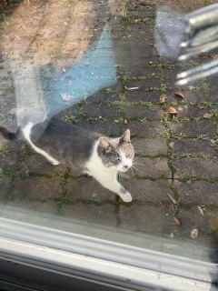 10��6��(��) �������œo��