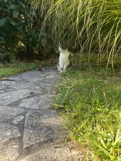 10��7��(��) �o�΂��̎�