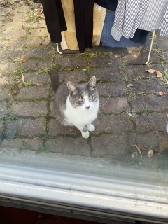 10��9��(��) �x�����o��