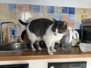 �����ł�