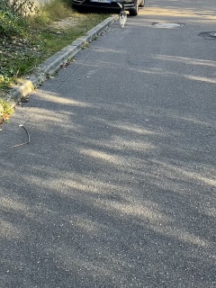 �o�΂��悤�Ƃ�����