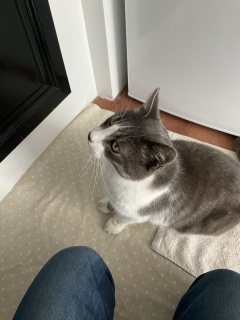 �A�����炷������