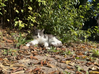 ������������˂�