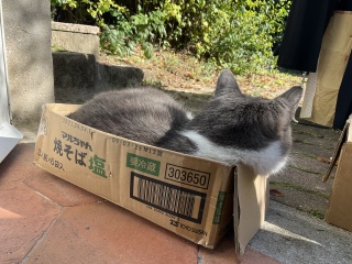 �͂ݏo���吷�艡�j