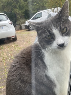 10��10��(��)_�̈�̓�