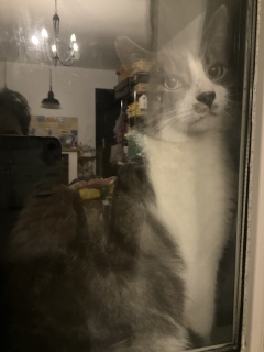 ���ɔL���