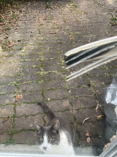 10��11��(��)_�|�X�|�X