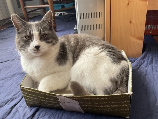 �A�������Ă���