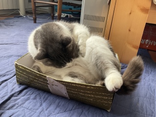 �������L���