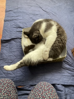 ���J�ɂ������