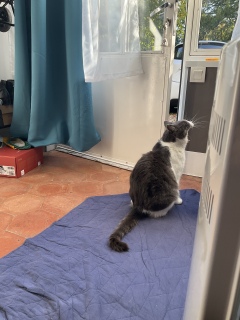 �����Ȃ�����