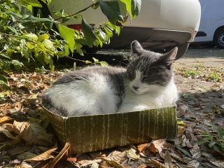 �ۂ��ۂ�����