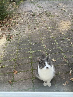 10��12��(��) �������Ńj���[