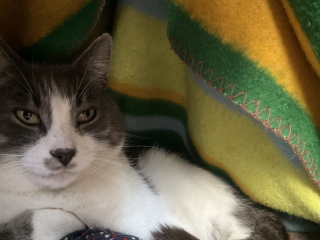 �����͔L���鍑�̈�̒n