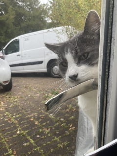 10��13��(��) �L���̂��o�΂Ł[��