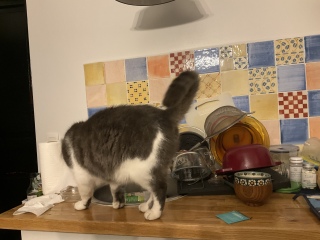 �����Ȃ���[