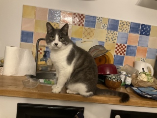 �z�X������H