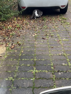 10��14��(��) �����͉J�ł�