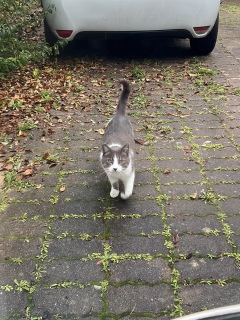 �ˁ[���ɋC�t����