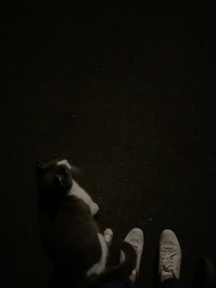 10��15��(�y) �o�}�����ꂵ��