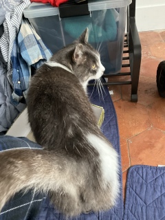 ȂɊH