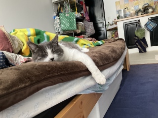 ˁ[