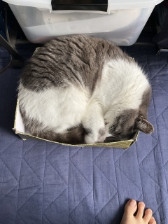 ˁ[͑|