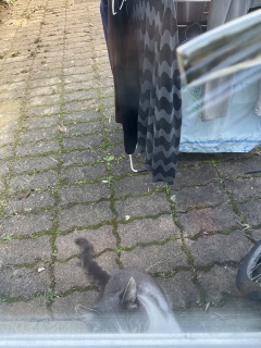 11��2��(��) �˂��V���J�V���J