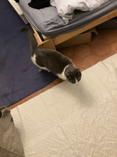 �[�������Ă��ꂽ��